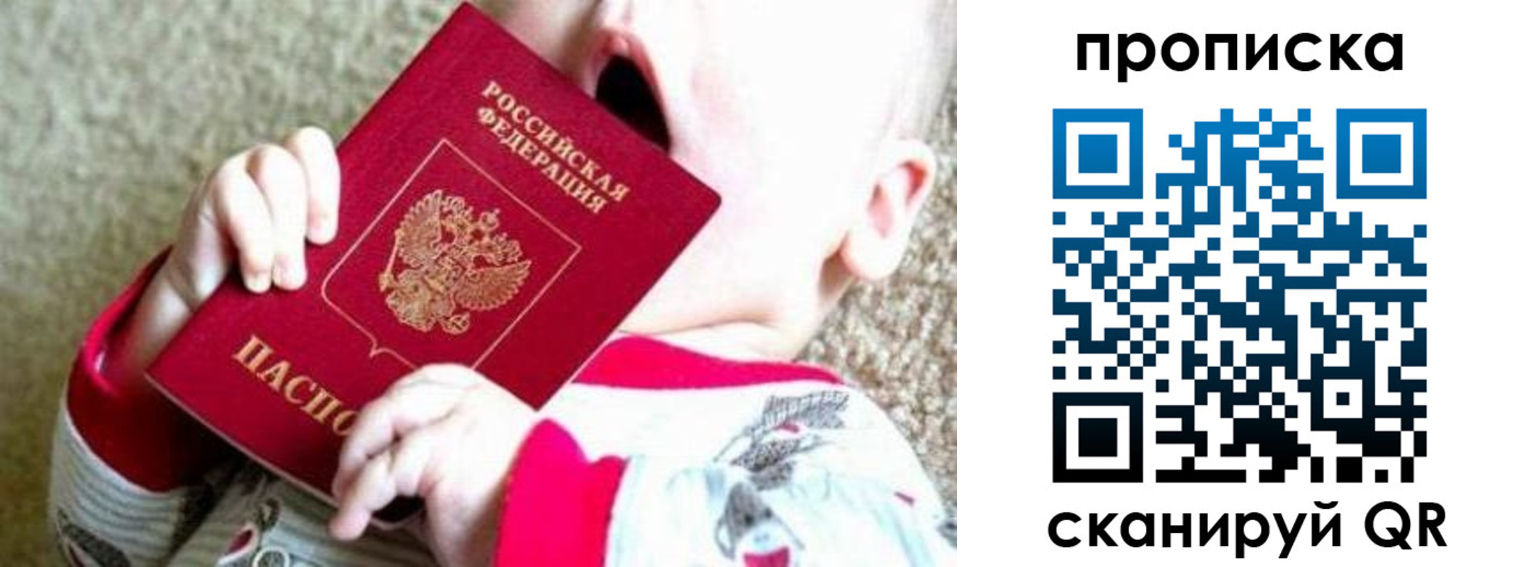 прописка законно в Ейске